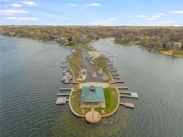 7804 NW Lynns Ln, Weatherby Lake, MO 64152 - photo 58