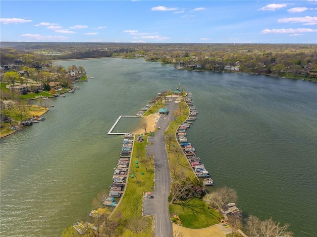 7804 NW Lynns Ln, Weatherby Lake, MO 64152 - photo 54