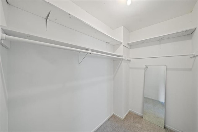4071 SW Royale Ct, Lees Summit, MO 64082 - walk in closet featuring carpet floors