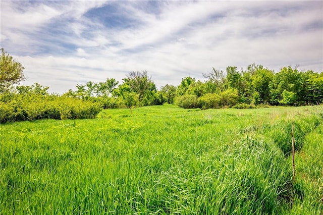 1051 Eisenhower Rd, Princeton, KS 66078 - photo 61