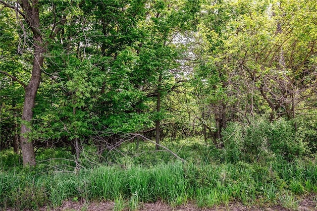 1051 Eisenhower Rd, Princeton, KS 66078 - photo 62