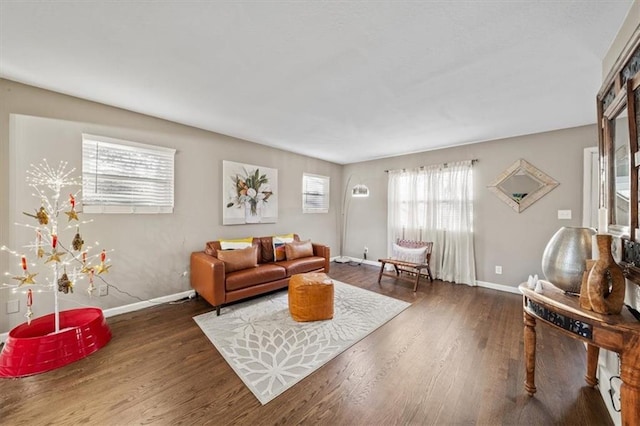 living room featuring baseboards, plenty of natural light, and wood finished floors