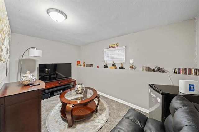 living area with carpet floors and a textured ceiling