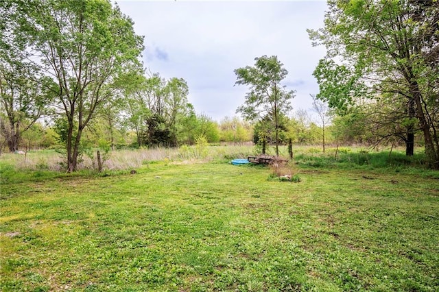 5971 Montgomery Rd, Mound City, KS 66056 - view of yard
