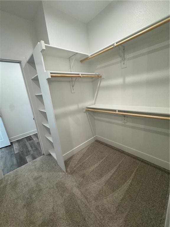 22146 W 116th Ter, Olathe, KS 66061 - walk in closet with dark carpet