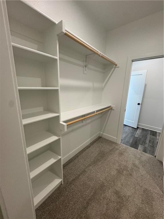 walk in closet with carpet