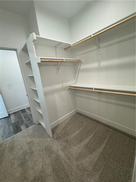 walk in closet with dark carpet