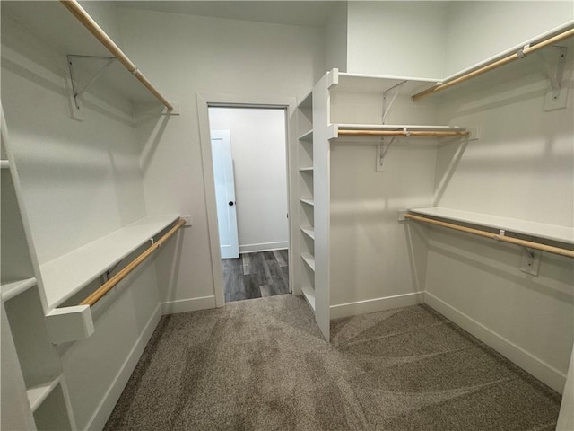 spacious closet featuring carpet flooring