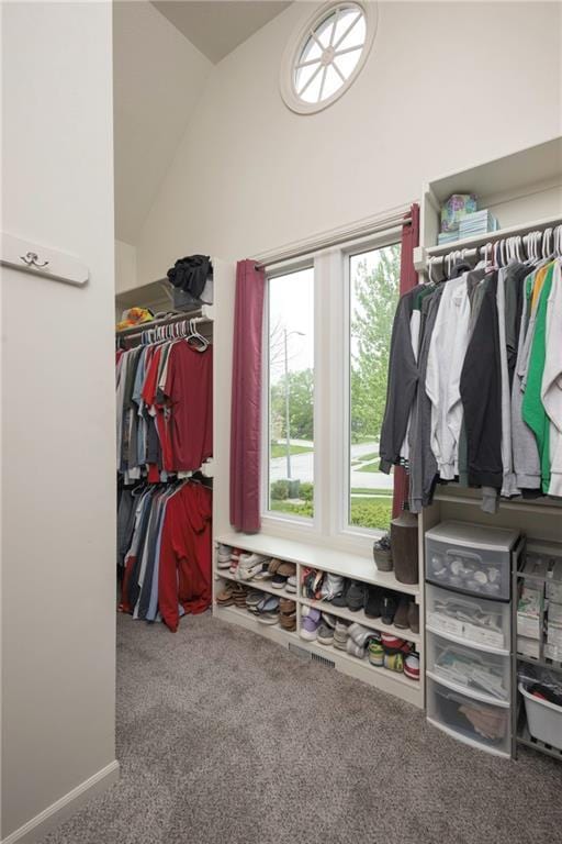 spacious closet with carpet flooring and lofted ceiling