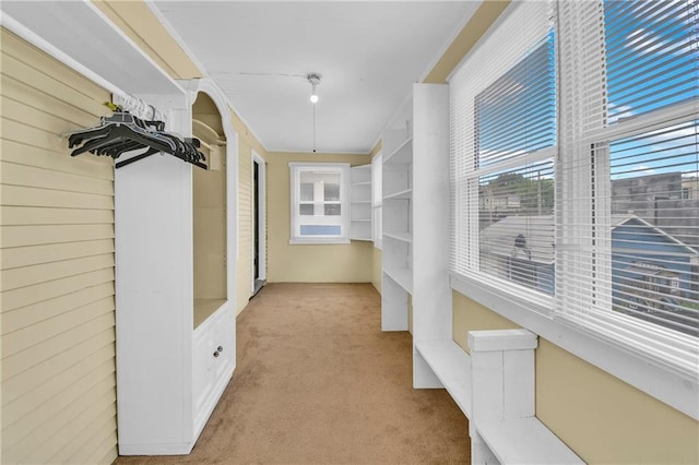 108 N Lawn Ave, Kansas City, MO 64123 - walk in closet with light colored carpet