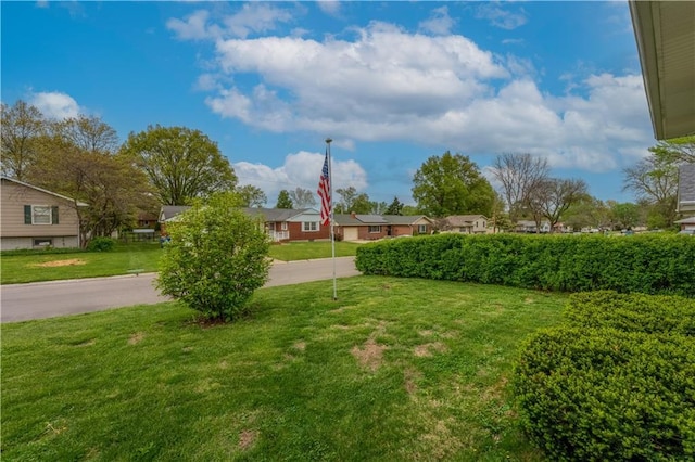 1003 Leone Ave, Sedalia, MO 65301 - view of yard featuring a residential view