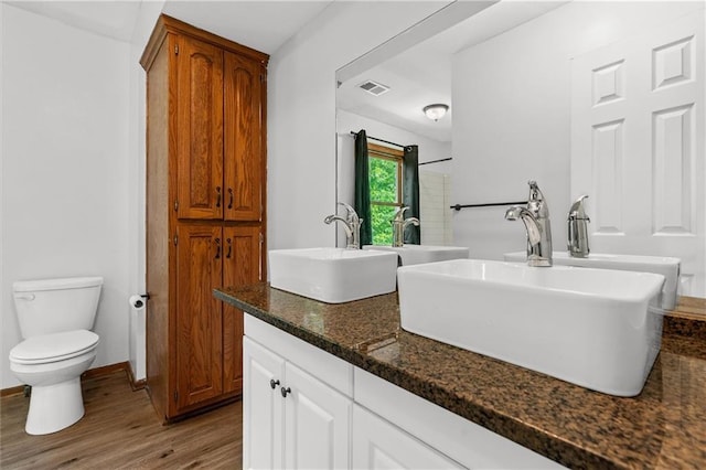 19707 E State Route A, Archie, MO 64725 - bathroom featuring wood finished floors, double vanity, and toilet