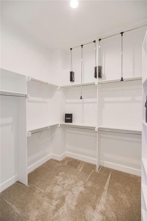 spacious closet featuring carpet flooring