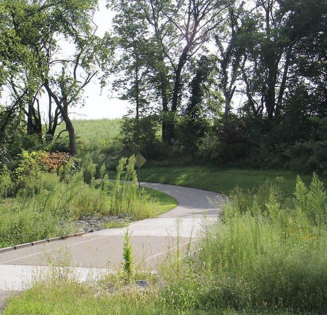 view of street featuring curbs