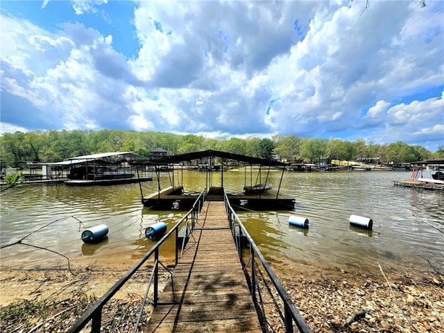 dock area with a water view