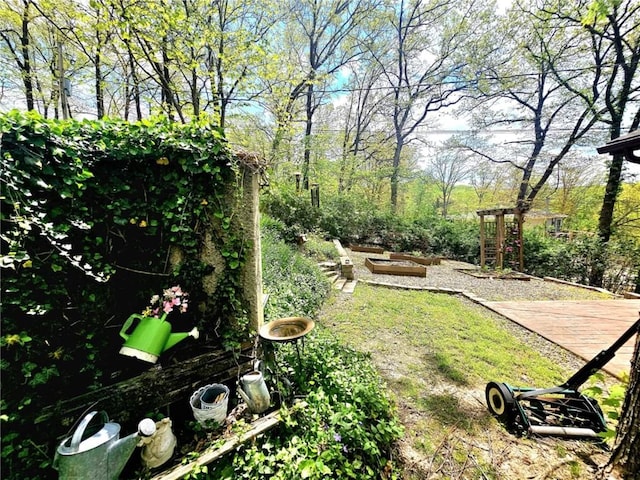 view of yard with a vegetable garden