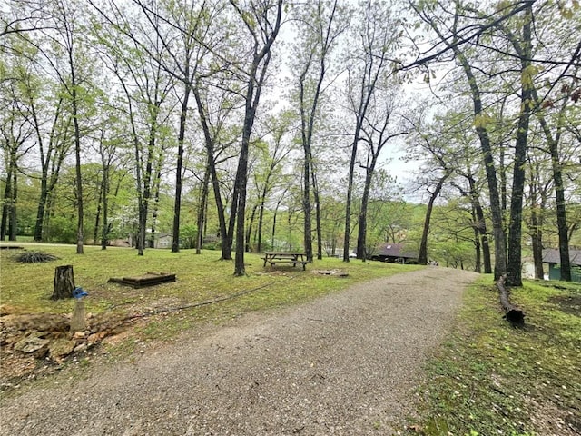 view of community