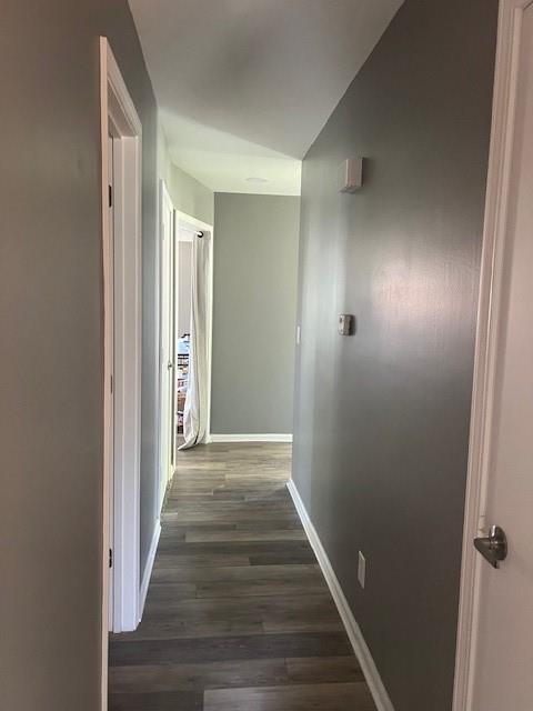 hallway with baseboards, wood finished floors, and lofted ceiling