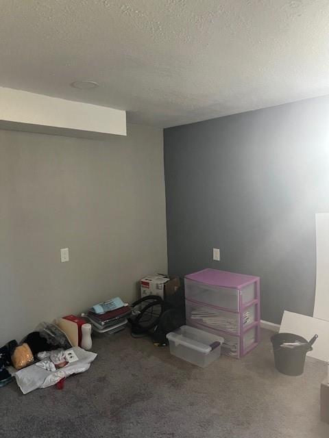 interior space with carpet flooring and a textured ceiling