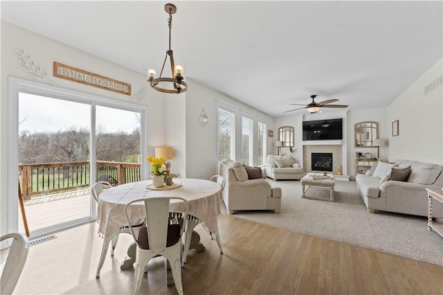 dining space featuring visible vents, a fireplace with raised hearth, ceiling fan with notable chandelier, and wood finished floors