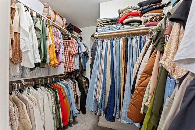 walk in closet featuring carpet floors