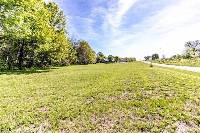 view of grassy yard featuring a view of rural / pastoral area