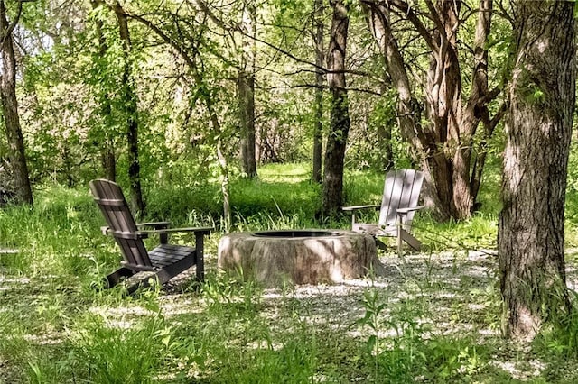view of yard featuring an outdoor fire pit