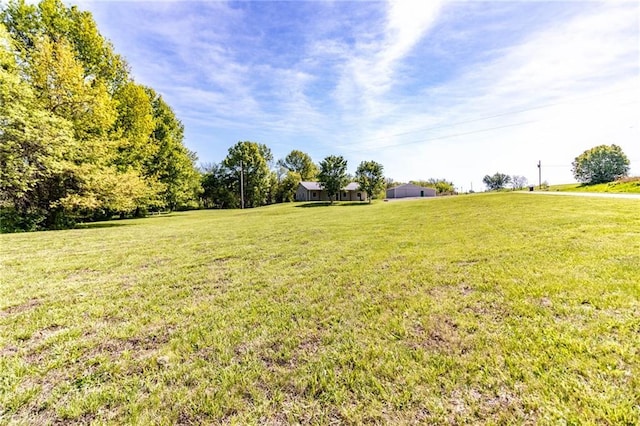 view of grassy yard
