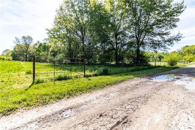 view of dirt / gravel road