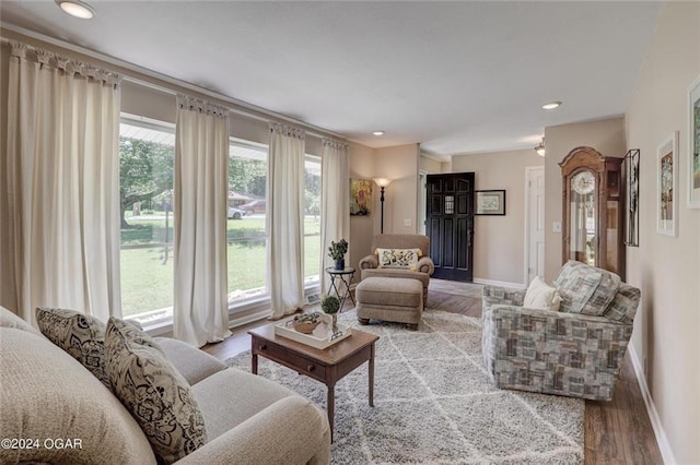 living room featuring baseboards, wood finished floors, and a healthy amount of sunlight
