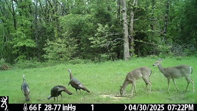 0000 E Quail Road, El Dorado Springs, MO 64744