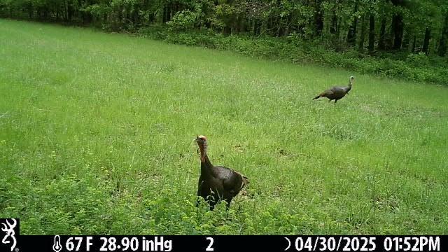 0000 E Quail Road, El Dorado Springs, MO 64744