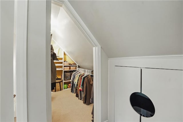 6116 W 61st Ter, Mission, KS 66202 - walk in closet with carpet floors
