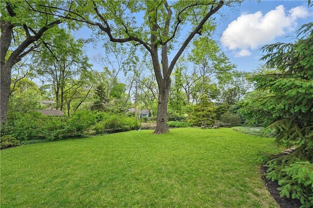 6116 W 61st Ter, Mission, KS 66202 - view of grassy yard