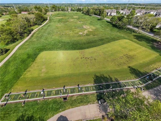 bird's eye view