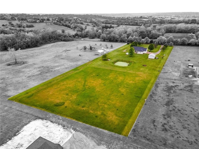 drone / aerial view