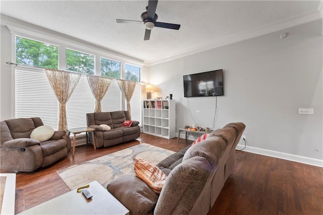 4504 NE 60th Ter, Kansas City, MO 64119 - living area with crown molding, wood finished floors, baseboards, ceiling fan, and a textured ceiling