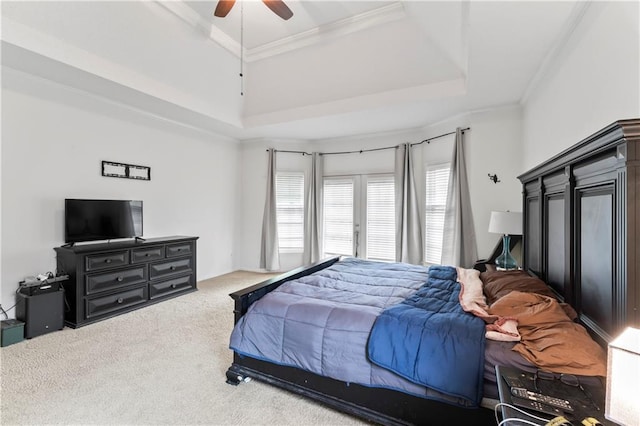 4504 NE 60th Ter, Kansas City, MO 64119 - bedroom with crown molding, carpet floors, multiple windows, and a tray ceiling