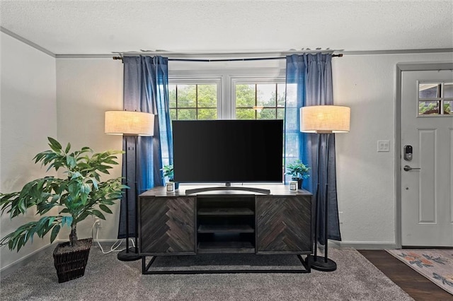 living room with crown molding, a textured ceiling, baseboards, and wood finished floors