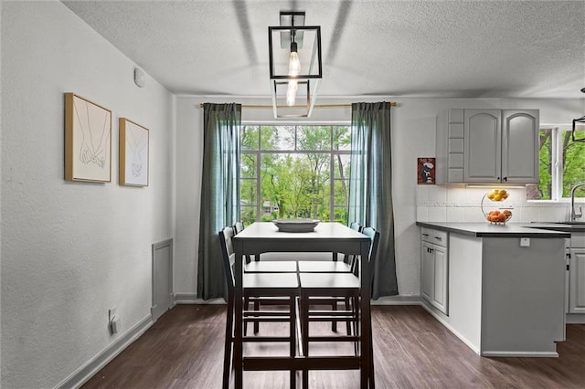 dining room with baseboards, dark wood-style floors, and a textured ceiling