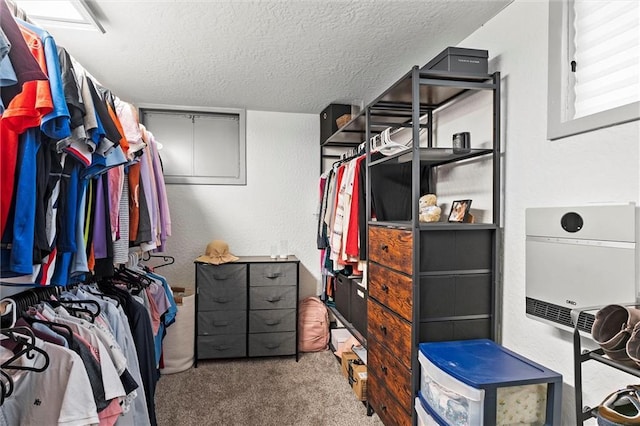 spacious closet featuring carpet flooring