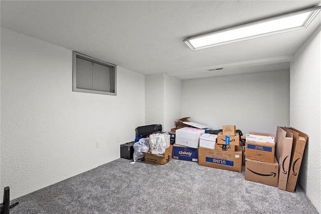finished below grade area with a textured wall and carpet