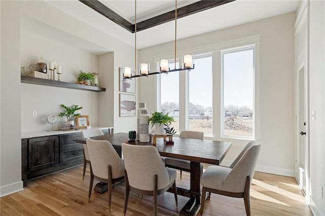 dining room featuring light wood finished floors, a healthy amount of sunlight, and a chandelier