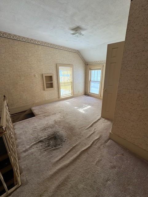 420 S Lincoln Ave, Chanute, KS 66720 - additional living space with carpet floors, a textured ceiling, and lofted ceiling