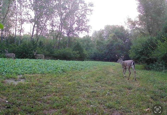 000 NW 35th St, Topeka, KS 66618 - photo 37