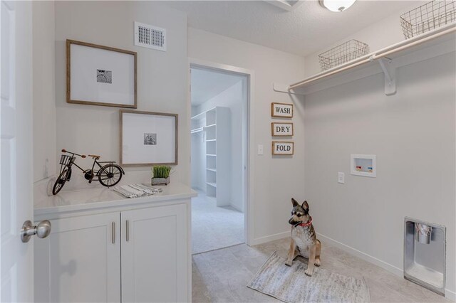 laundry room featuring cabinet space, washer hookup, visible vents, and light carpet