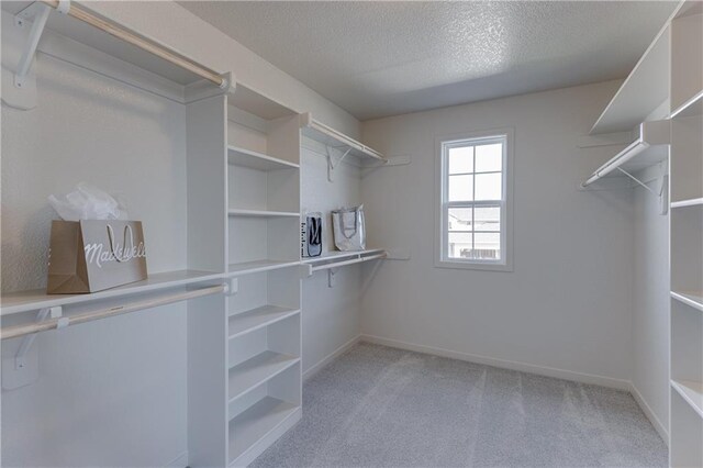 walk in closet with light colored carpet