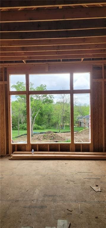misc room with a wealth of natural light