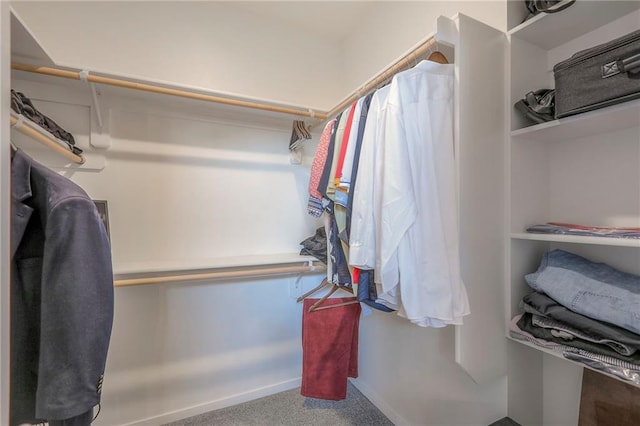 3525 S Woodland Ct, Independence, MO 64052 - walk in closet with carpet floors