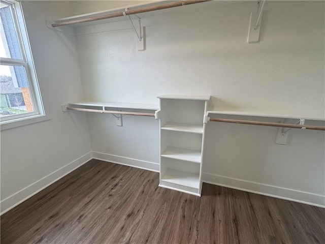 15610 Sheridan Ct, Basehor, KS 66007 - spacious closet featuring dark wood-style floors